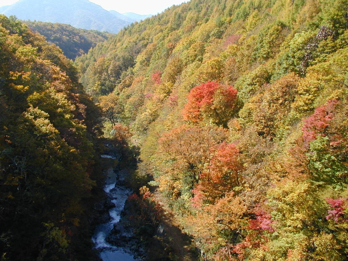 Pension Hana Kirin 北塩原村 エクステリア 写真